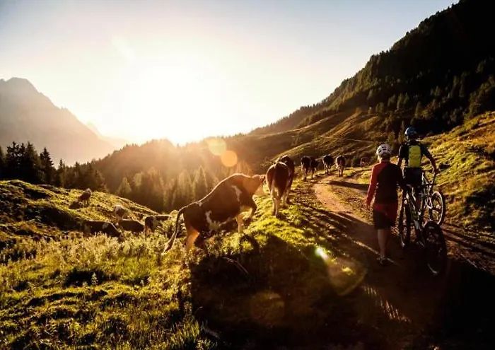 Appartement Poechtlhof